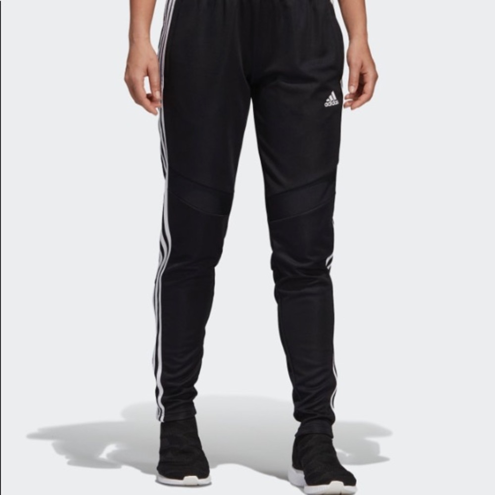Adidas Tiro 19 Training Pants
